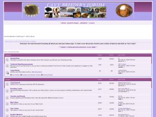 Cavy Breeders Forum